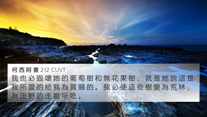 何 西 阿 書 2:12 CUVT Bible Verse Image