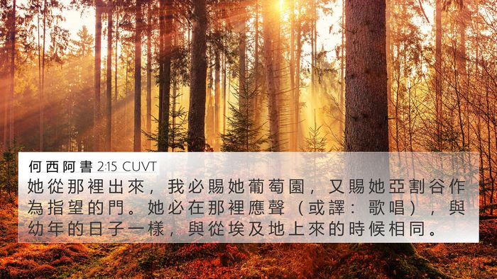 何 西 阿 書 2:15 CUVT Bible Verse Image