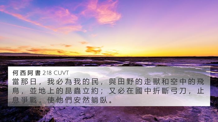 何 西 阿 書 2:18 CUVT Bible Verse Image