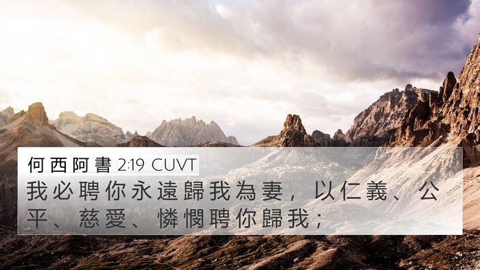 何 西 阿 書 2:19 CUVT Bible Verse Image