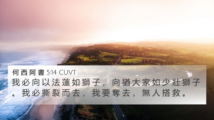 何 西 阿 書 5:14 CUVT Bible Verse Image