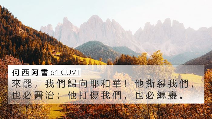 何 西 阿 書 6:1 CUVT Bible Verse Image