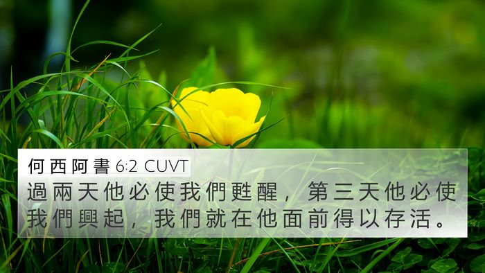何 西 阿 書 6:2 CUVT Bible Verse Image