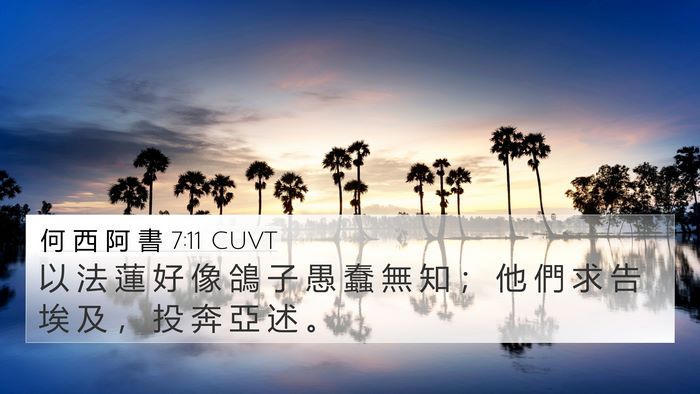 何 西 阿 書 7:11 CUVT Bible Verse Image