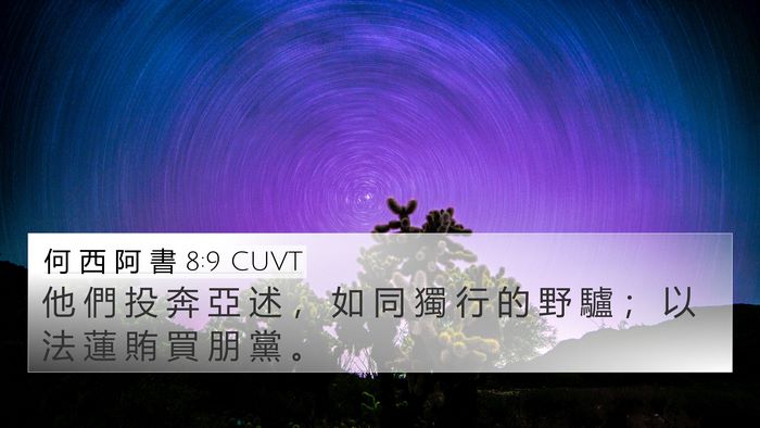何 西 阿 書 8:9 CUVT Bible Verse Image