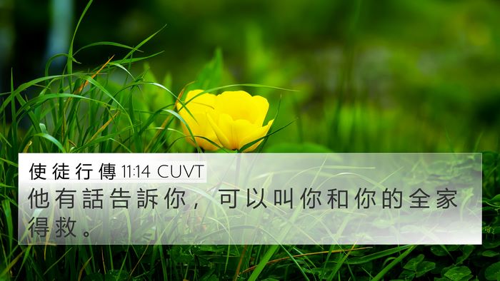 使 徒 行 傳 11:14 CUVT Bible Verse Image