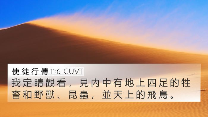 使 徒 行 傳 11:6 CUVT 4K Wallpaper - 我 定 睛 觀 看 ， 見 內 中 有 地 上 - 4K Wallpaper Bible Verse