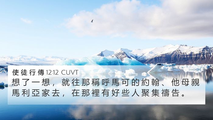 使 徒 行 傳 12:12 CUVT Bible Verse Image