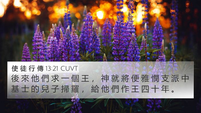 使 徒 行 傳 13:21 CUVT Bible Verse Image