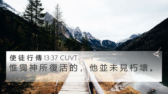 使 徒 行 傳 13:37 CUVT Bible Verse Image