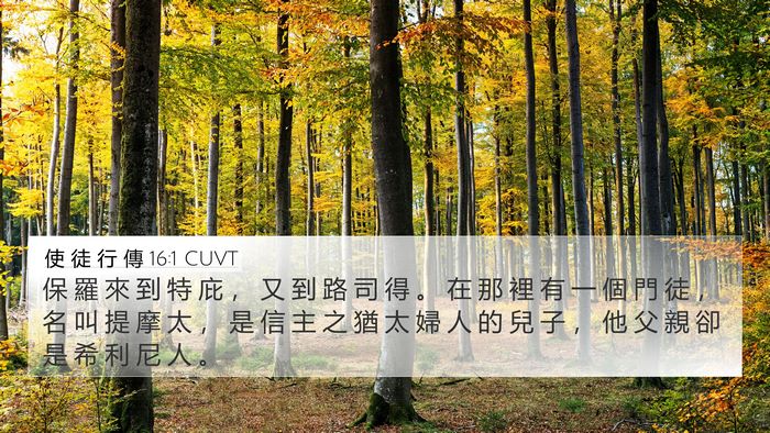 使 徒 行 傳 16:1 CUVT Bible Verse Image