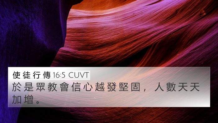 使 徒 行 傳 16:5 CUVT Bible Verse Image