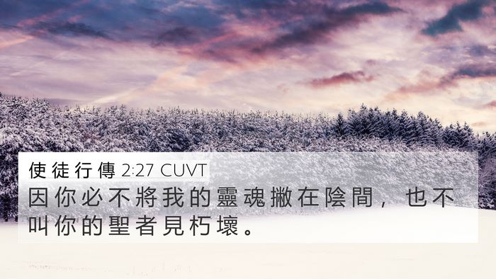 使 徒 行 傳 2:27 CUVT Bible Verse Image