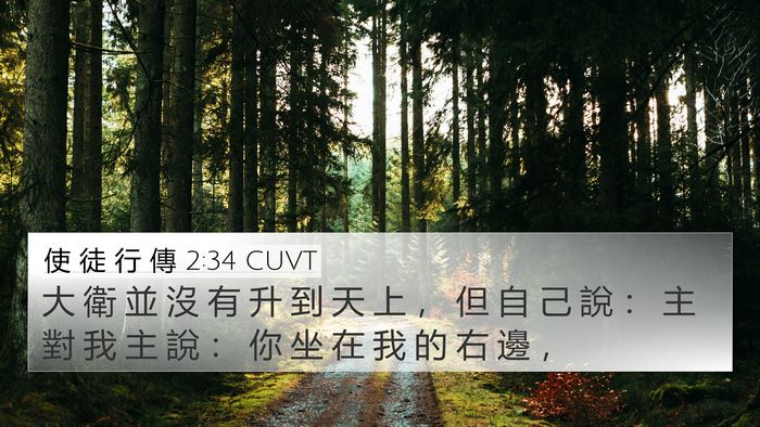 使 徒 行 傳 2:34 CUVT Bible Verse Image