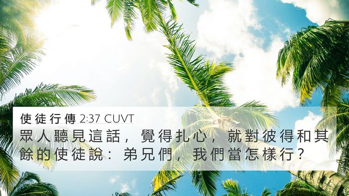 使 徒 行 傳 2:37 CUVT Bible Verse Image