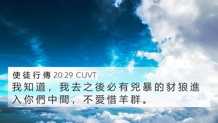 使 徒 行 傳 20:29 CUVT Bible Verse Image