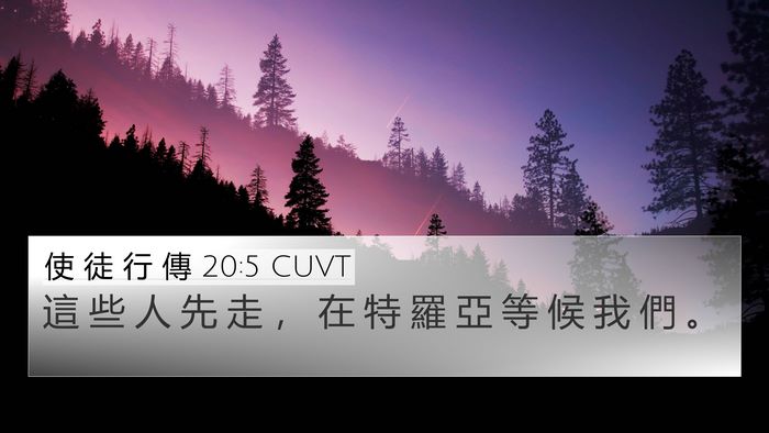 使 徒 行 傳 20:5 CUVT Bible Verse Image
