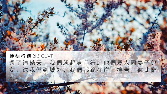 使 徒 行 傳 21:5 CUVT Bible Verse Image