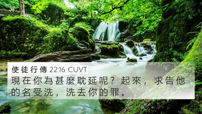 使 徒 行 傳 22:16 CUVT Bible Verse Image