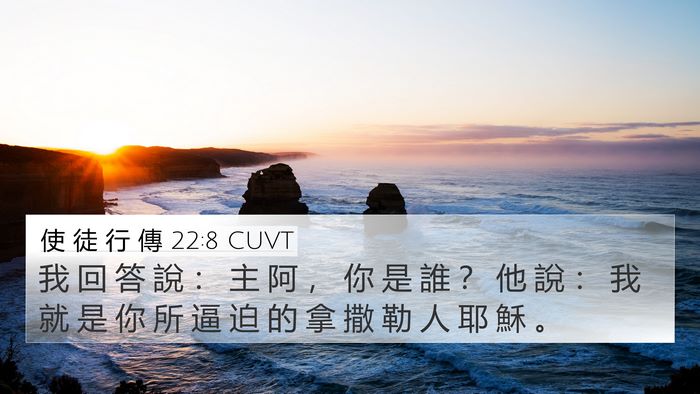 使 徒 行 傳 22:8 CUVT 4K Wallpaper - 我 回 答 說 ： 主 阿 ， 你 是 誰 ？ - 4K Wallpaper Bible Verse