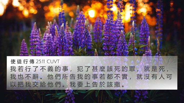 使 徒 行 傳 25:11 CUVT Bible Verse Image