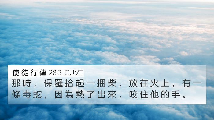 使 徒 行 傳 28:3 CUVT Bible Verse Image