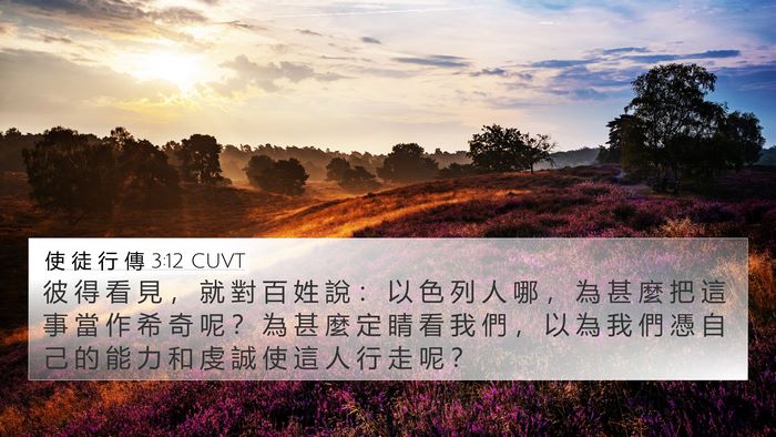 使 徒 行 傳 3:12 CUVT Bible Verse Image