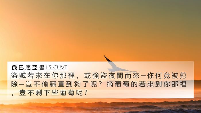 俄 巴 底 亞 書 1:5 CUVT Bible Verse Image