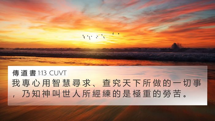 傳 道 書 1:13 CUVT Bible Verse Image