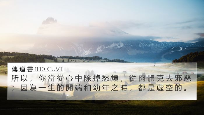 傳 道 書 11:10 CUVT 4K Wallpaper - 所 以 ， 你 當 從 心 中 除 掉 愁 煩 - 4K Wallpaper Bible Verse