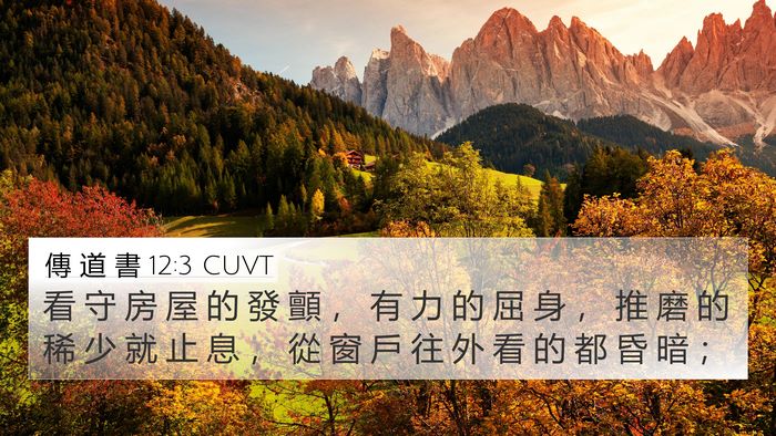 傳 道 書 12:3 CUVT Bible Verse Image