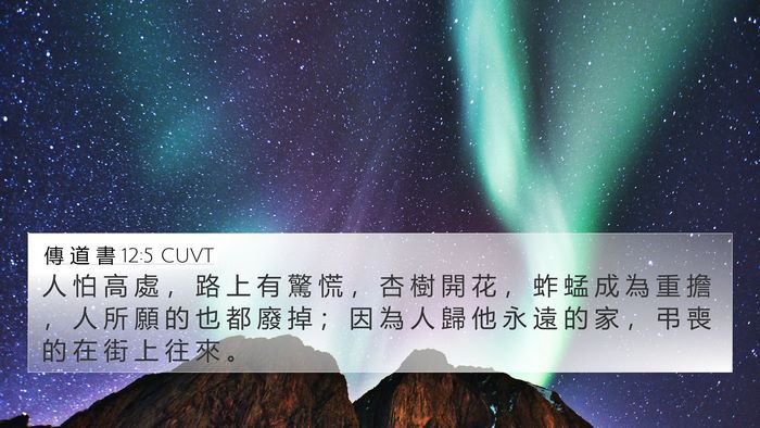 傳 道 書 12:5 CUVT Bible Verse Image
