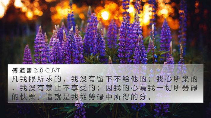 傳 道 書 2:10 CUVT Bible Verse Image