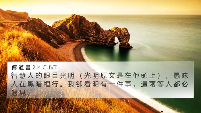 傳 道 書 2:14 CUVT Bible Verse Image