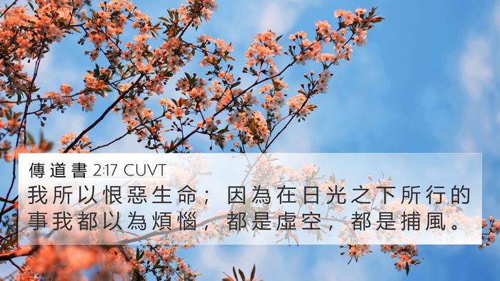 傳 道 書 2:17 CUVT Bible Verse Image