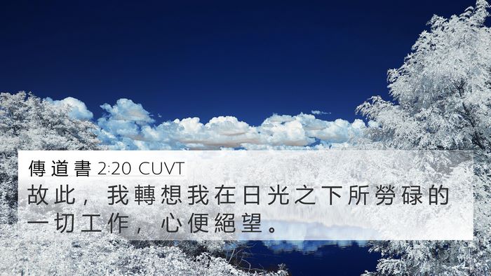 傳 道 書 2:20 CUVT Bible Verse Image