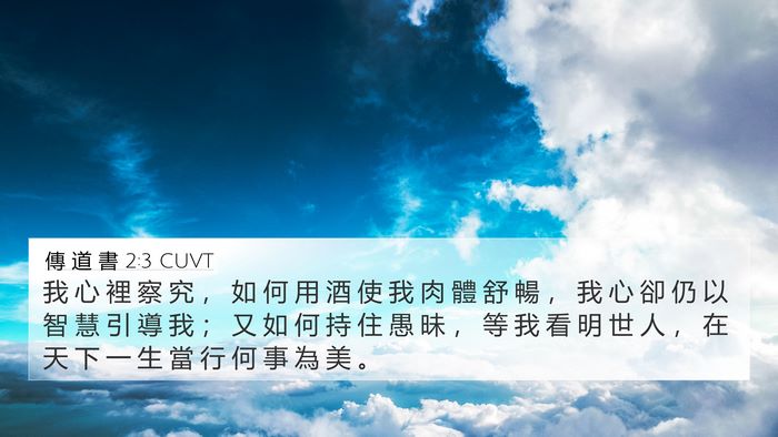 傳 道 書 2:3 CUVT Bible Verse Image