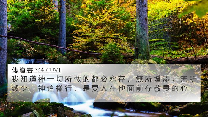 傳 道 書 3:14 CUVT 4K Wallpaper - 我 知 道 神 一 切 所 做 的 都 必 永 - 4K Wallpaper Bible Verse