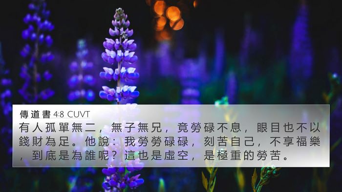 傳 道 書 4:8 CUVT Bible Verse Image