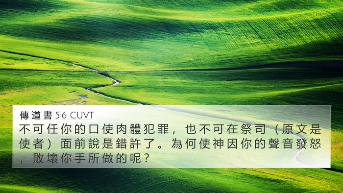 傳 道 書 5:6 CUVT Bible Verse Image