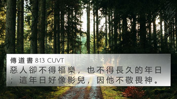 傳 道 書 8:13 CUVT Bible Verse Image