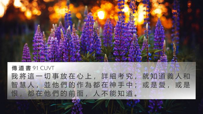 傳 道 書 9:1 CUVT Bible Verse Image