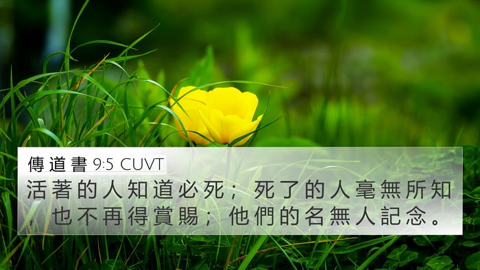 傳 道 書 9:5 CUVT Bible Verse Image