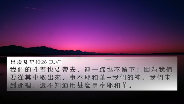 出 埃 及 記 10:26 CUVT Bible Verse Image