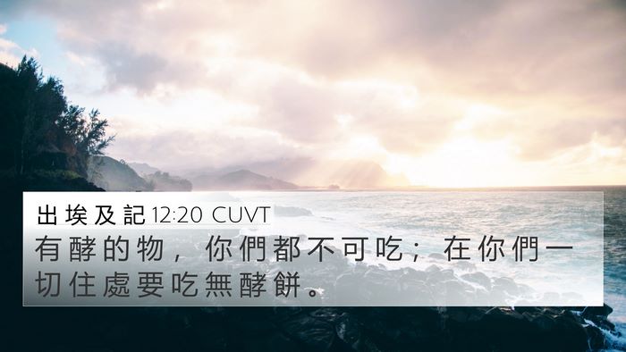 出 埃 及 記 12:20 CUVT 4K Wallpaper - 有 酵 的 物 ， 你 們 都 不 可 吃 ； - 4K Wallpaper Bible Verse