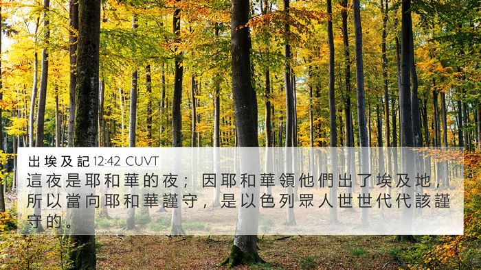 出 埃 及 記 12:42 CUVT 4K Wallpaper - 這 夜 是 耶 和 華 的 夜 ； 因 耶 和 - 4K Wallpaper Bible Verse