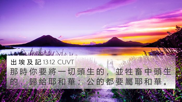 出 埃 及 記 13:12 CUVT 4K Wallpaper - 那 時 你 要 將 一 切 頭 生 的 ， 並 - 4K Wallpaper Bible Verse