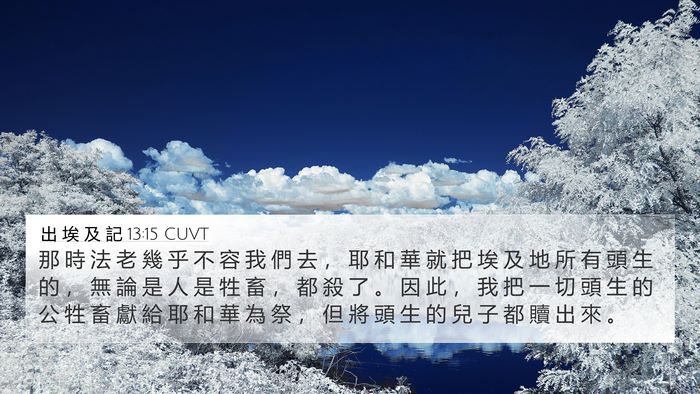 出 埃 及 記 13:15 CUVT Bible Verse Image