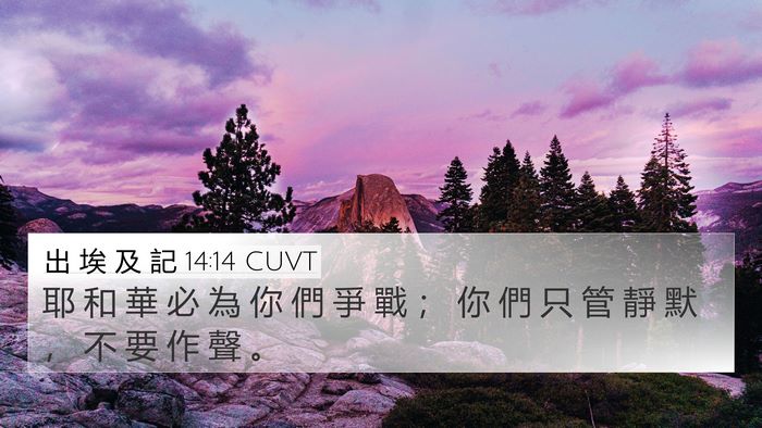 出 埃 及 記 14:14 CUVT Bible Verse Image