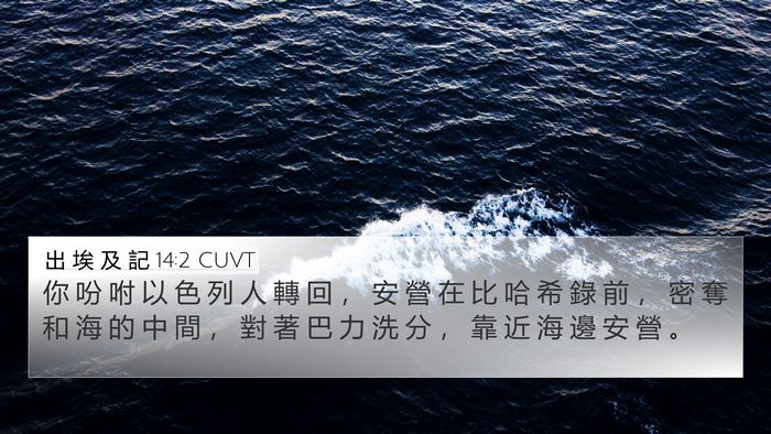 出 埃 及 記 14:2 CUVT Bible Verse Image